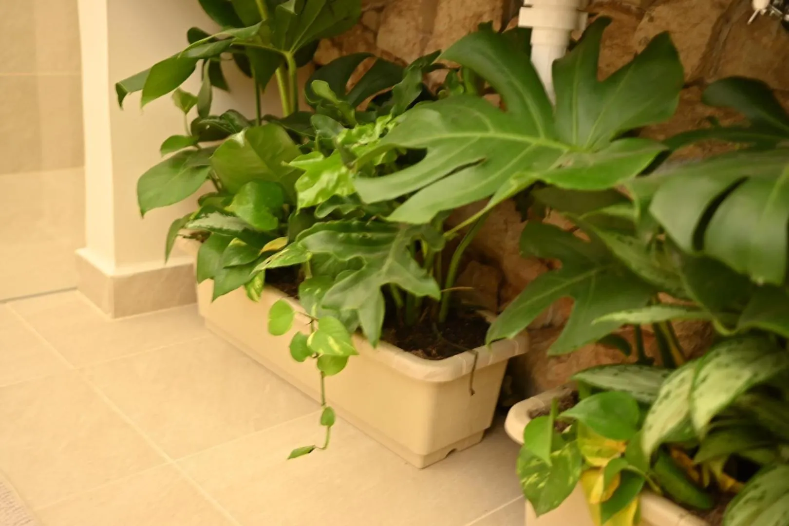 Casa Lezzet Apartman Medellín Kolumbia